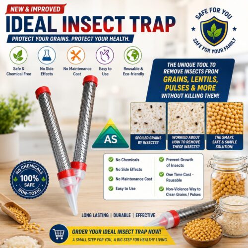 Ideal Insect Trap